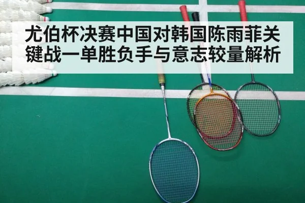 尤伯杯决赛中国对韩国陈雨菲关键战一单胜负手与意志较量解析
